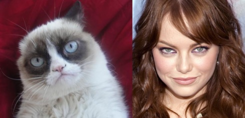 Emma-Stone-e-Grumpy-Cat
